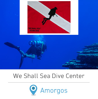 Cyclades We Shall Sea Dive Center Amorgos Scuba Diving in Amorgos
