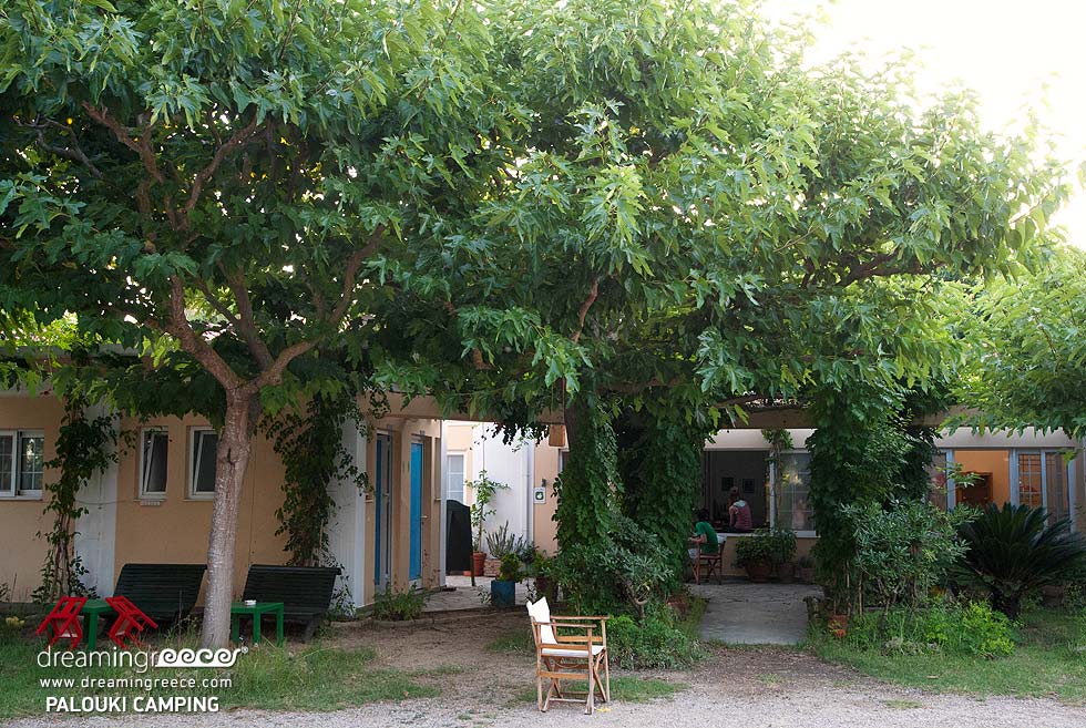 Camping Palouki in Amaliada. Camping in Greece. Visit Greece.