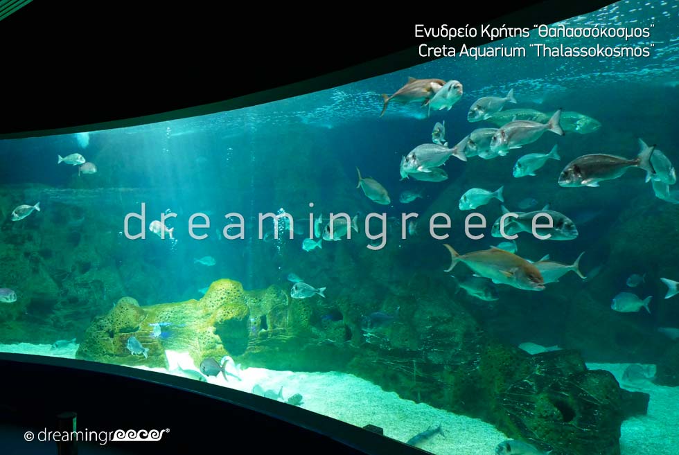 Heraklion Crete island Greece - Creta Aquarium Thalassokosmos