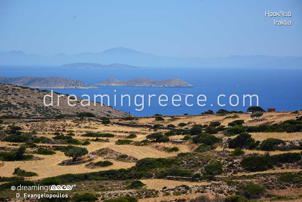 Visit Iraklia island Small Cyclades Greece
