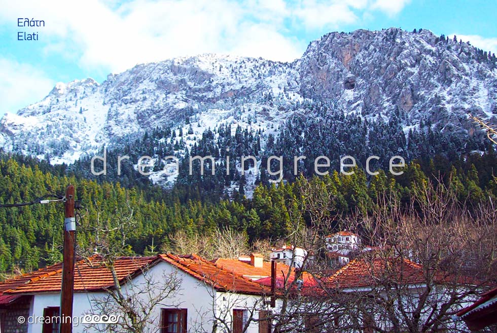 Travel Guide of Greece. Winter Holidays in Elati Pertouli Thessaly.