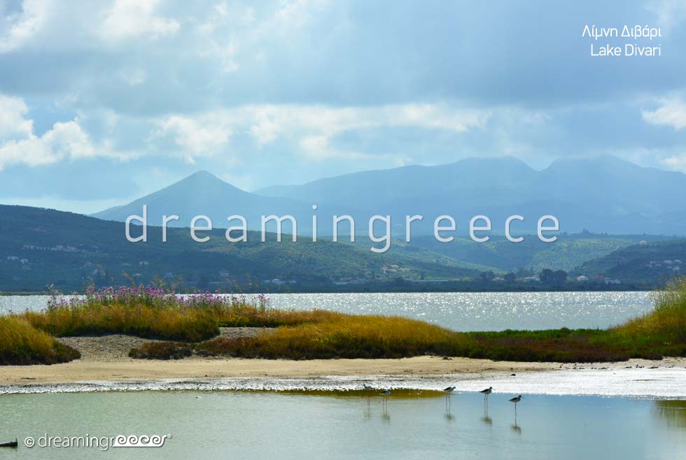 Lake Divari Pylos Messinia Peloponnese Greece