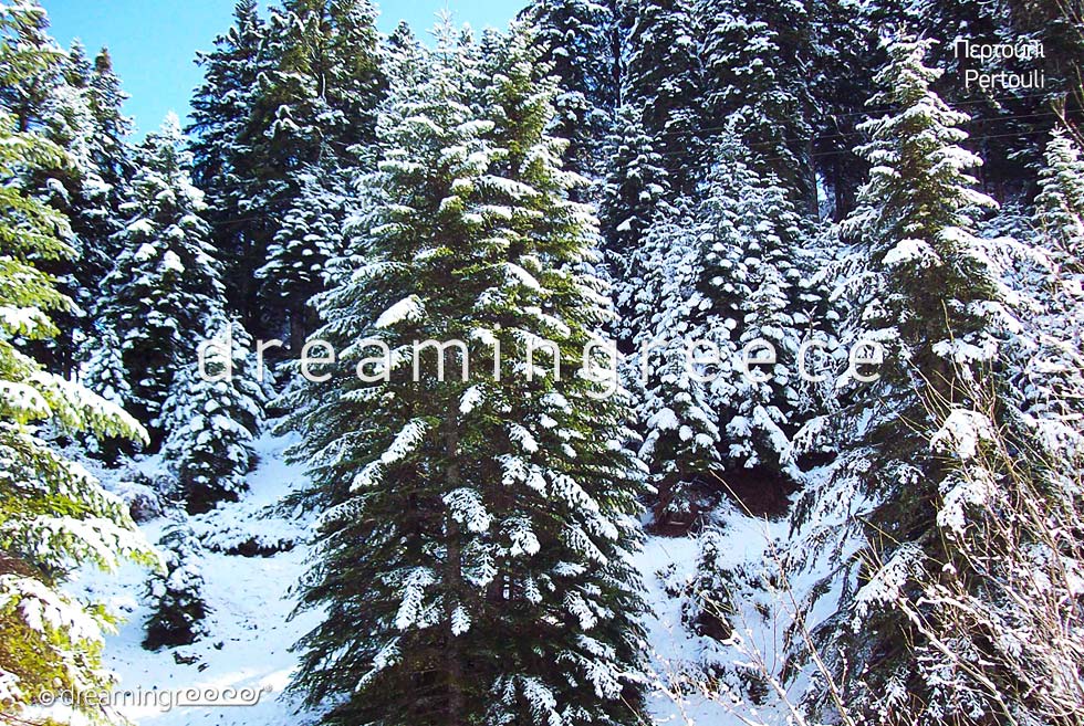 Visit Greece. Winter Holidays in Elati Pertouli Thessaly.