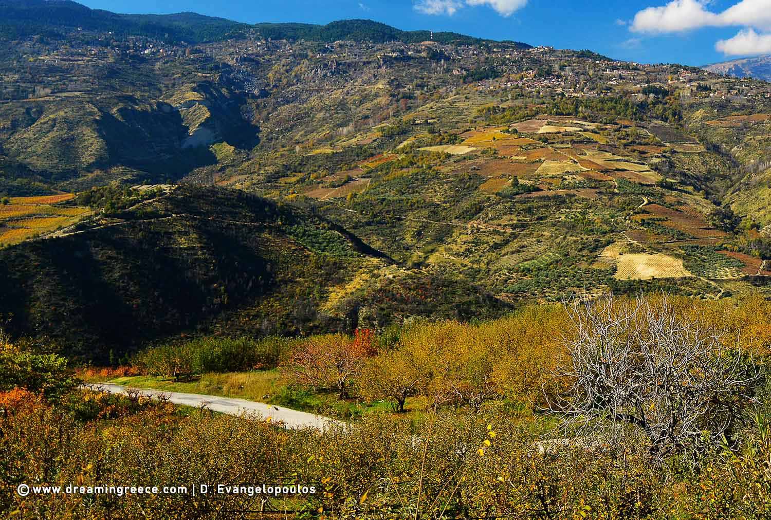 Explore Trikala of Corinth Holidays in Trikala of Corinth Peloponnese Greece Vacations