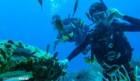 Amorgos Diving Center. Padi diving courses Greece
